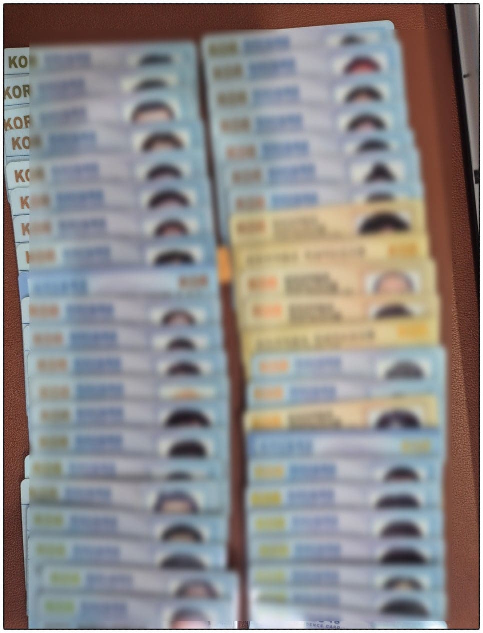 장기체류 자격으로 등록한 외국인등록증과 거소증